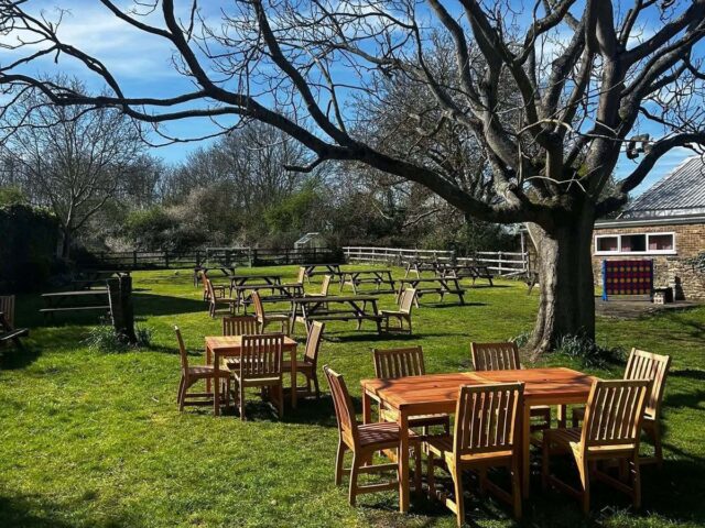 The beer garden in the sun, with tables under the big tree