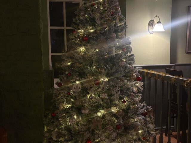 The Christmas tree lit up in the dining room